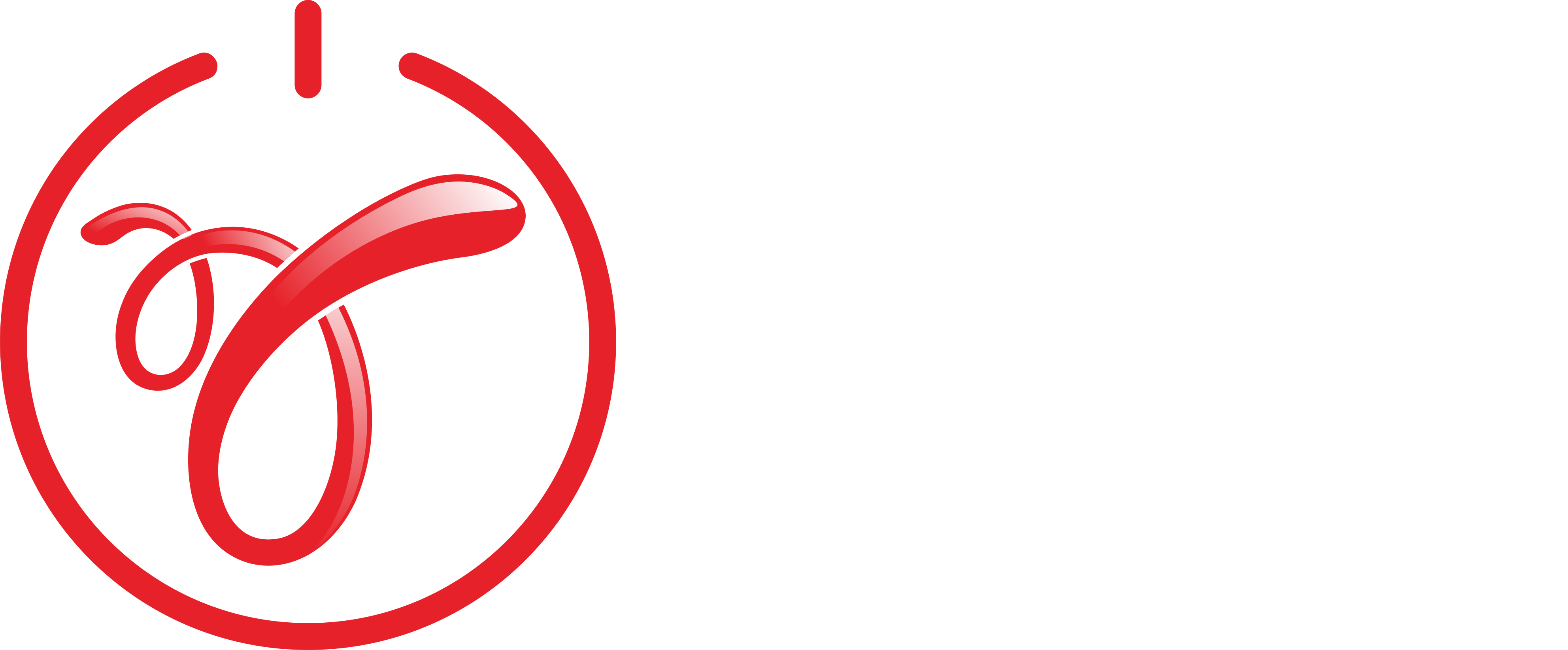 水平标志（白色）.png